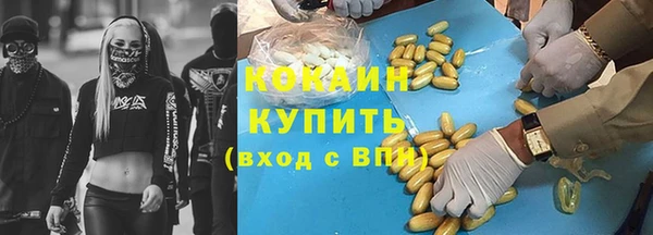 таблы Бородино