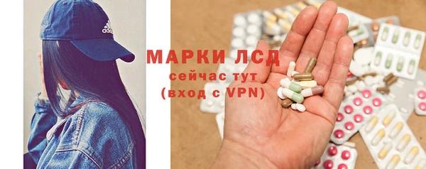 таблы Бородино