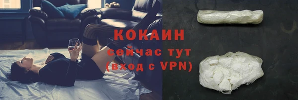 таблы Бородино