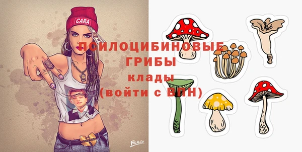 таблы Бородино
