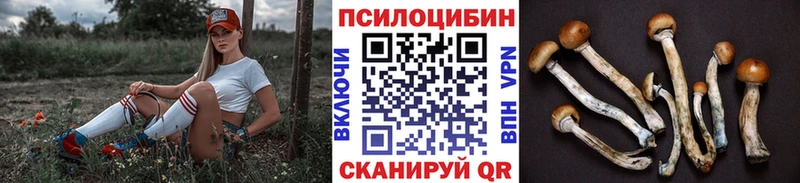 Купить где  Котовск  Галлюциногенные грибы мицелий 